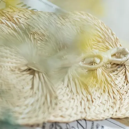 Balticus Elegant Near The By Renters شقة *